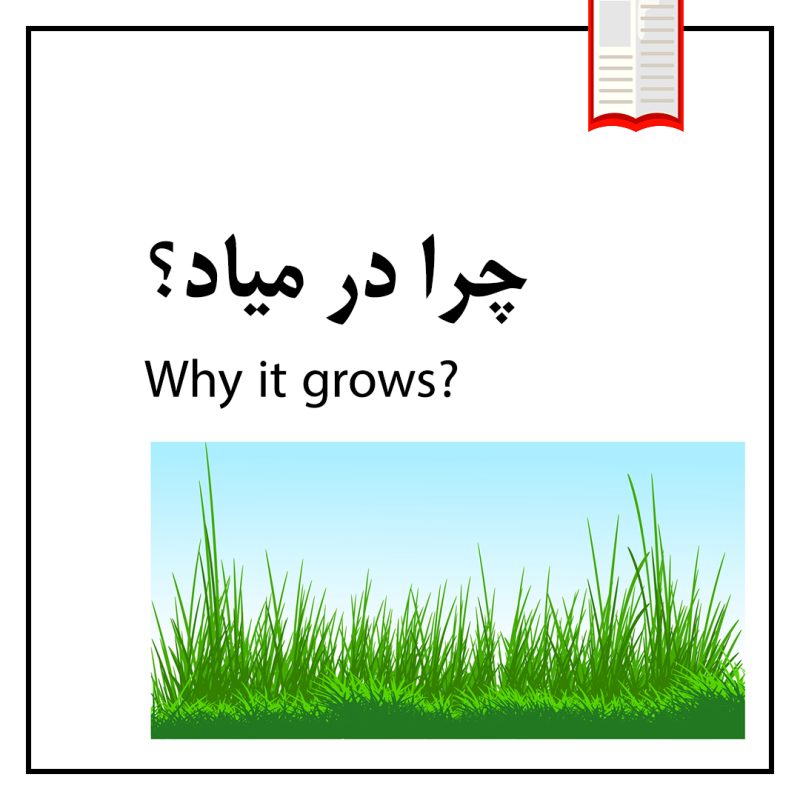 تصویرکتاب شخصی موضوعی چرا در میاد